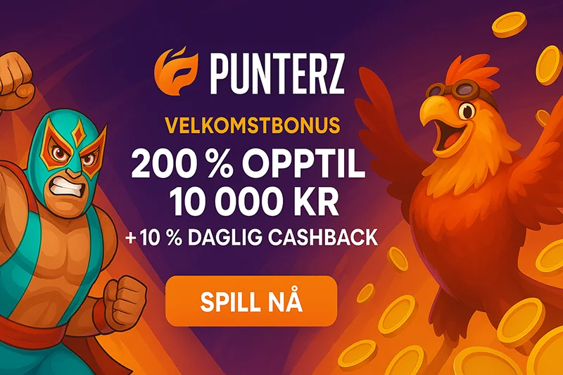punterz casino dmg solutions bv banner